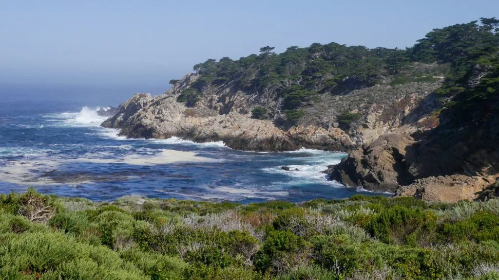 Küste mit Wald im Hintergrund