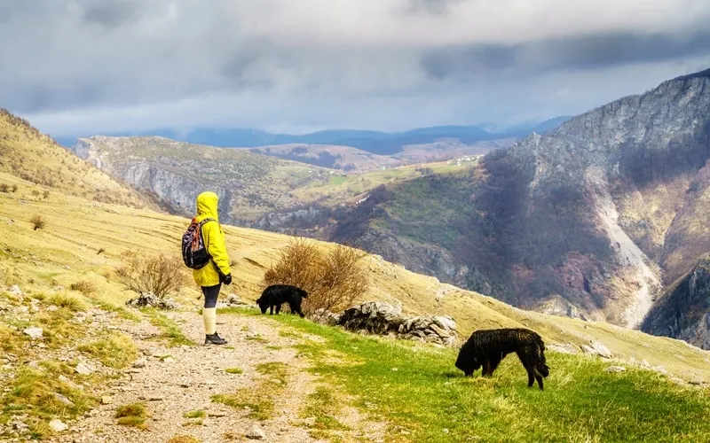 Landschaft in Bosnien-Herzegowina mit Bergen und Häusern