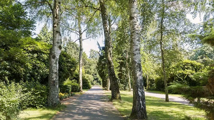 Landschaftsachse Horner Geest, Schiffbeker Friedhof
