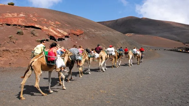 Lavafeld auf Lanzarote