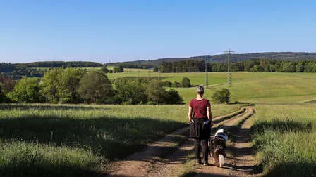 Leber im menschlichen Körper