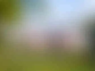 Leckeres Essen in der Salem Seebar