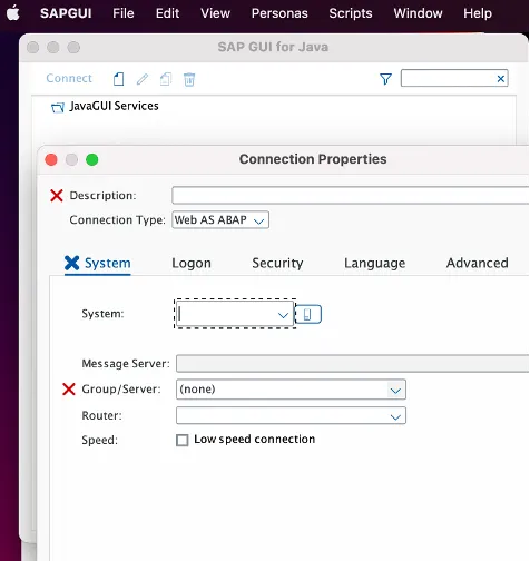 Leerer SAP GUI Arbeitsbereich