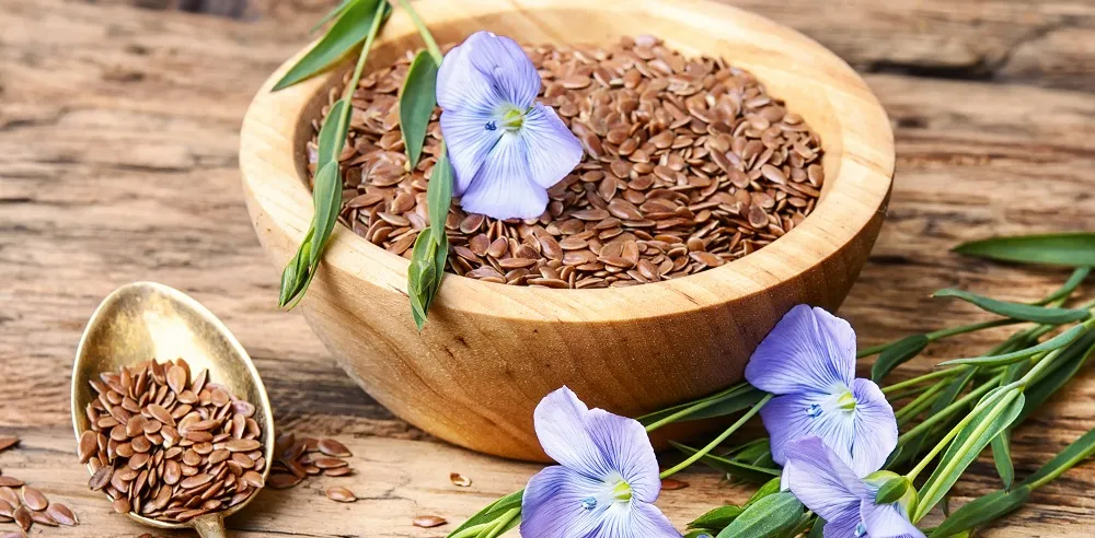 Leinsamen Hausmittel gegen Sodbrennen