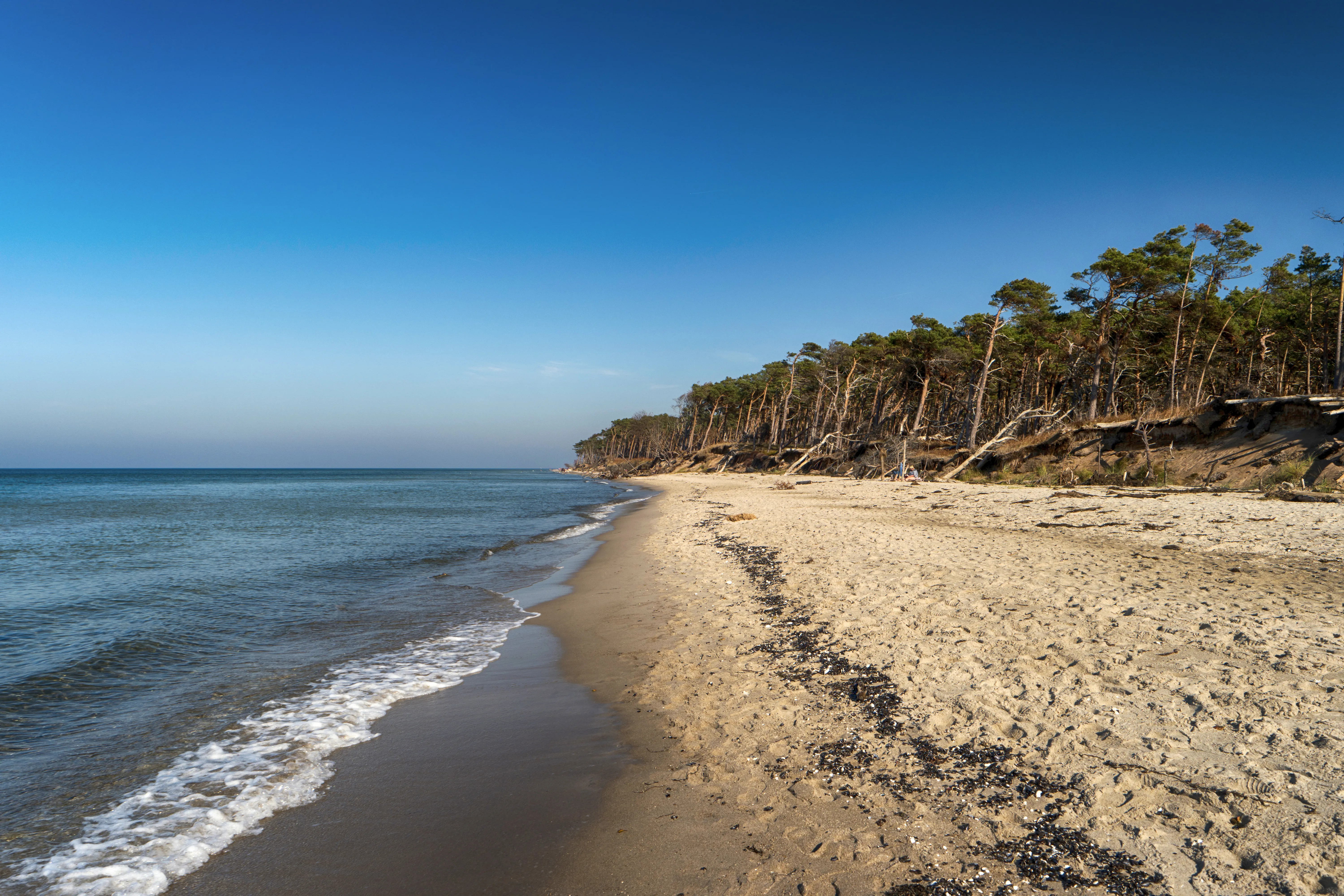 Malerische Dünenlandschaft und Strand auf der Halbinsel Zingst an der Ostsee
