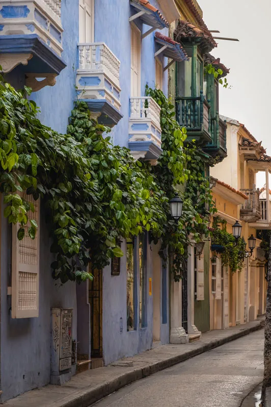 Malerische Straße mit bunten Häuserfassaden, Kletterpflanzen und geschmückten Balkonen in einer deutschen Altstadt