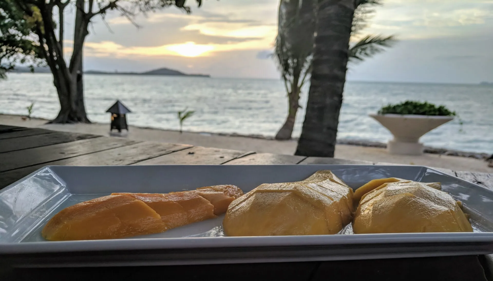 Mango-Verkostung auf Koh Samui mit verschiedenen Mangosorten
