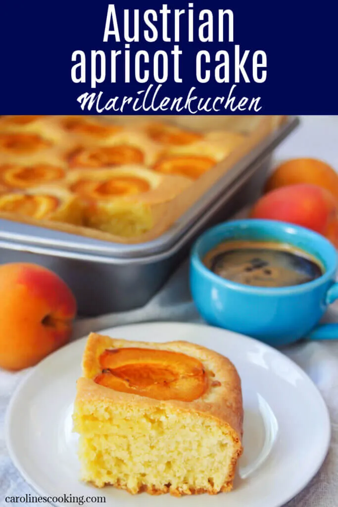 Marillenkuchen mit Aprikosenstücken auf hellem Kuchenboden