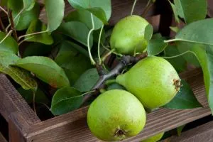 Maßnahmen zum Umweltschutz im Betrieb