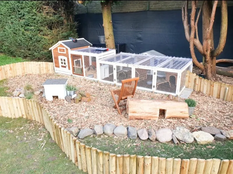 Meerschweinchen in einem großen, überdachten Außengehege mit verschiedenen Ebenen