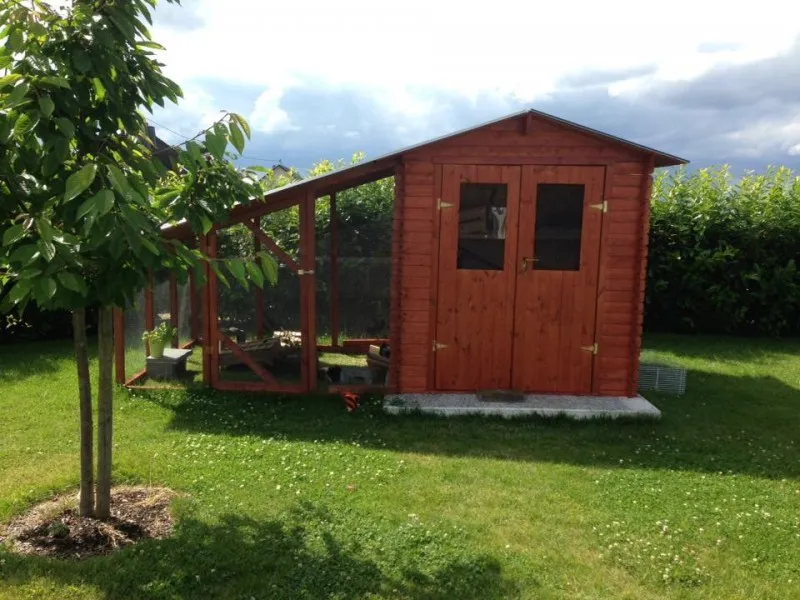 Meerschweinchen in einem liebevoll gestalteten Außengehege mit Holzhütte und Verstecken
