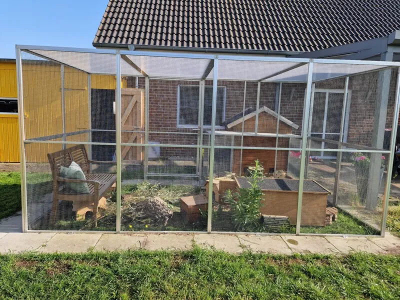 Meerschweinchen in einer großen Voliere im Garten