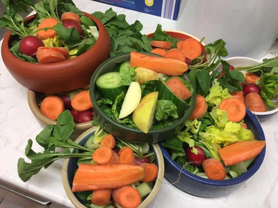 Meerschweinchen und Kaninchen in artgerechter Kleintierpension