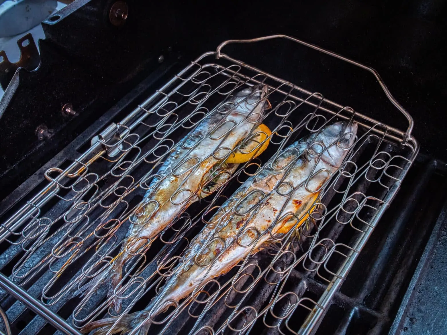 Mehrere Makrelen in einem praktischen Fischbräter, knusprig gegrillt für einfache und köstliche Fisch Grillrezepte