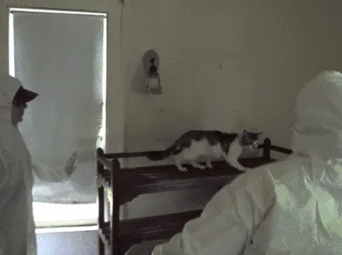 Mensch, der diskret aus einer Dose trinkt, um unauffällig zu bleiben – ideal für die &quot;Shotgun Trinken&quot;-Kultur