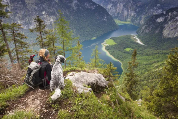 Mensch und Hund beim Wandern in den bayerischen Alpen