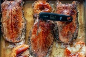 Messung der Kerntemperatur einer Gänsebrust mit einem Fleischthermometer