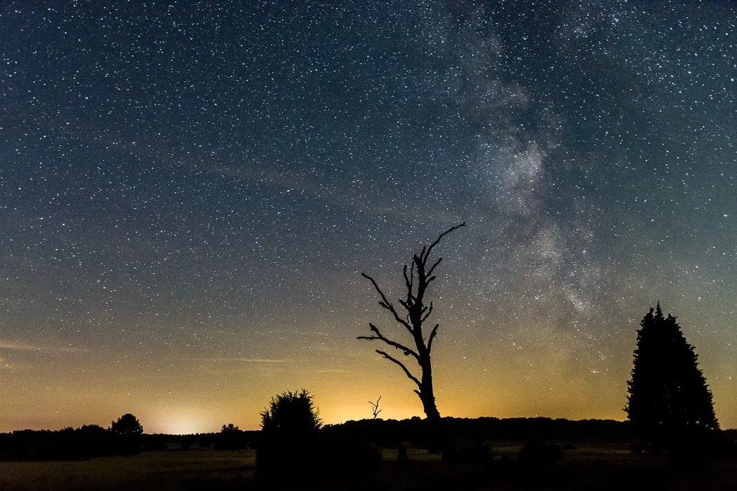 Milchstraße über der Lüneburger Heide
