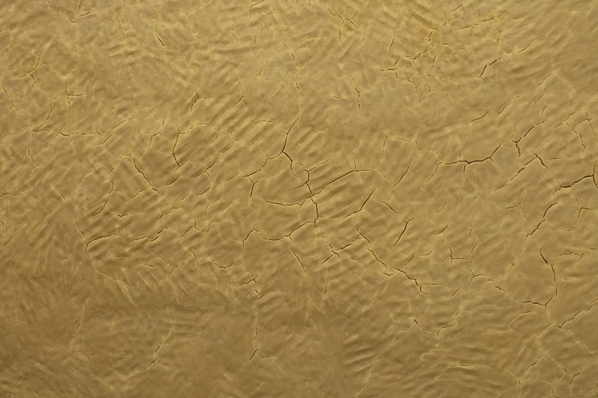 Mit der Süßspeise Halva verwandelt Narges Mohammadi die Wände in ein duftendes Denkmal für Geschichten von Exil und Trauer.