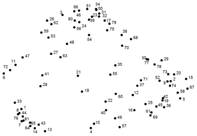 Mountainbiker auf einem Trail in Deutschland