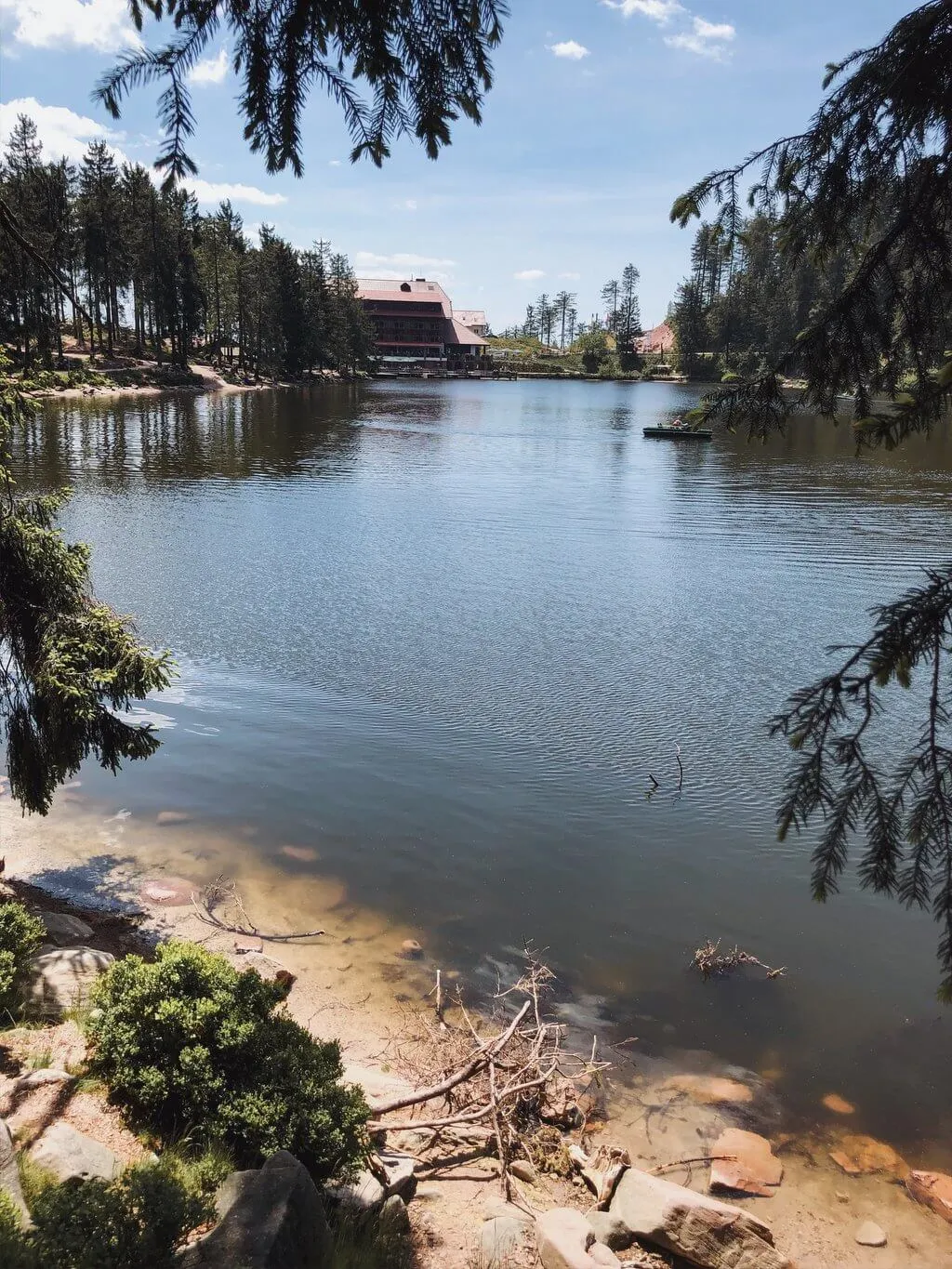 Mummelsee im Schwarzwald mit bewaldeten Ufern und einem hölzernen Rundweg
