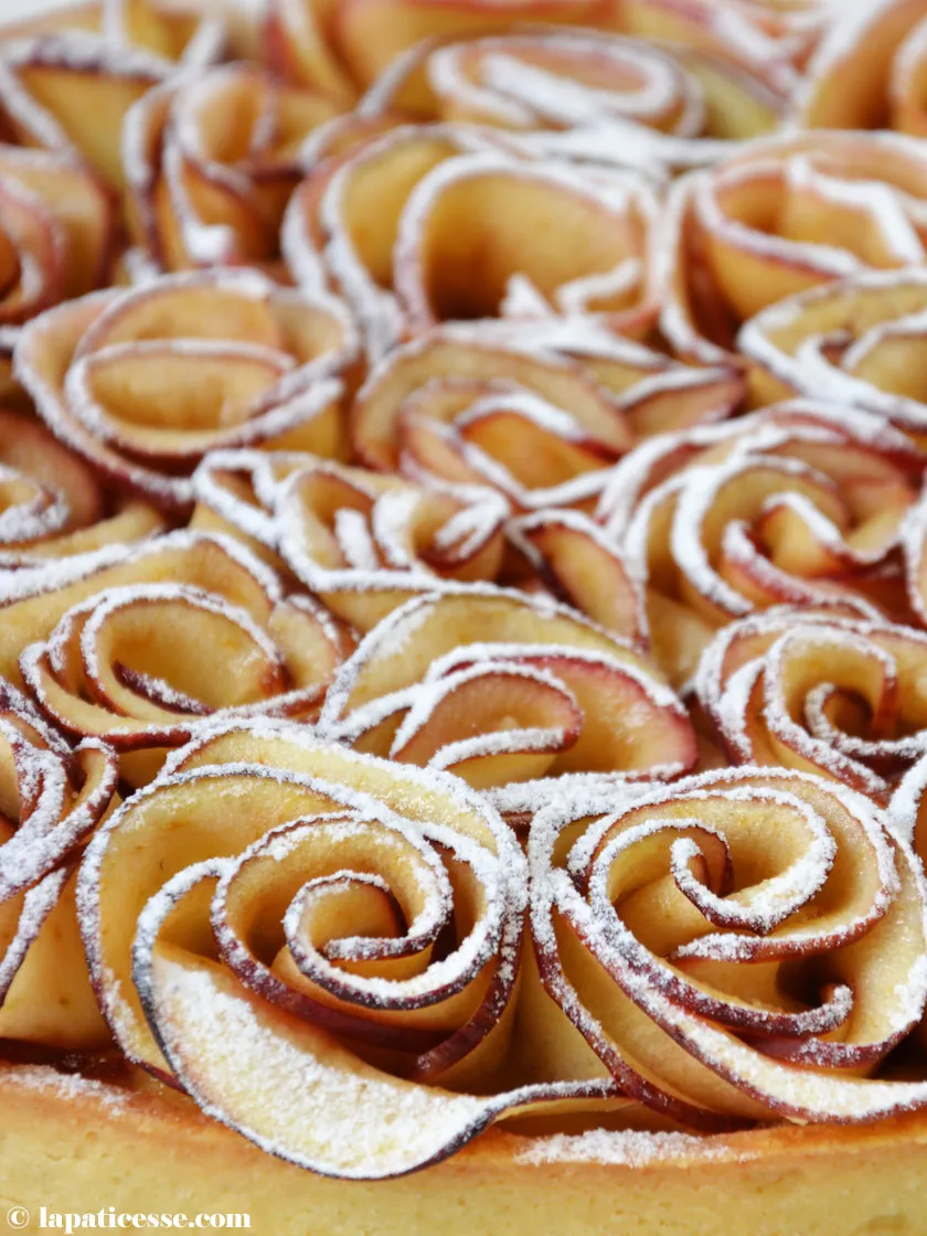 Nahaufnahme der kunstvoll geformten Apfelrosen auf einem französischen Apfelkuchen, inspiriert von Promibacken-Herausforderungen.