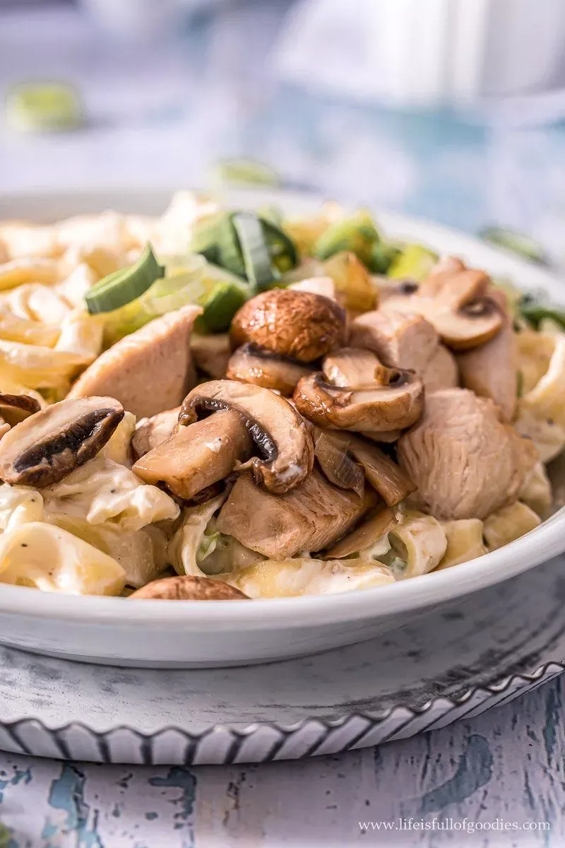 Nahaufnahme einer Portion Frischkäsepasta mit Pute, garniert mit frischen Kräutern in einer weißen Schale