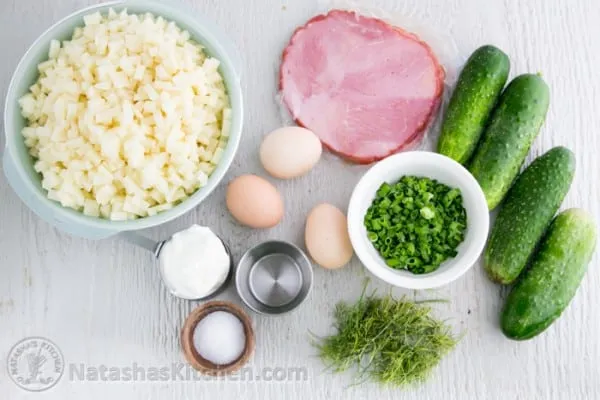 Nahaufnahme einer Schüssel Okroschka, einer kalten russischen Sommersuppe, bereit zum Servieren.