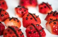 Nahaufnahme eines einzelnen Marienkäfers aus Erdbeere und Heidelbeere auf der Sahne