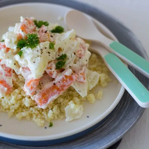 Nahaufnahme eines Tellers mit Couscous und buntem Gemüse, ein schnelles und nahrhaftes Mittagessen für Kleinkinder
