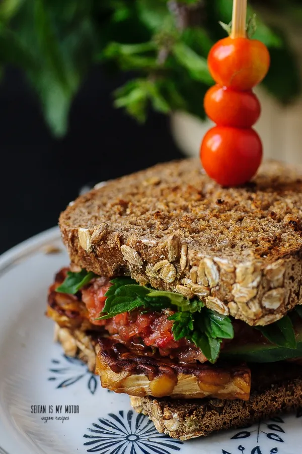 Nahaufnahme eines veganen Sandwiches mit selbstgemachter Tomaten-Minz-Salsa, Tempeh und frischer Gurke