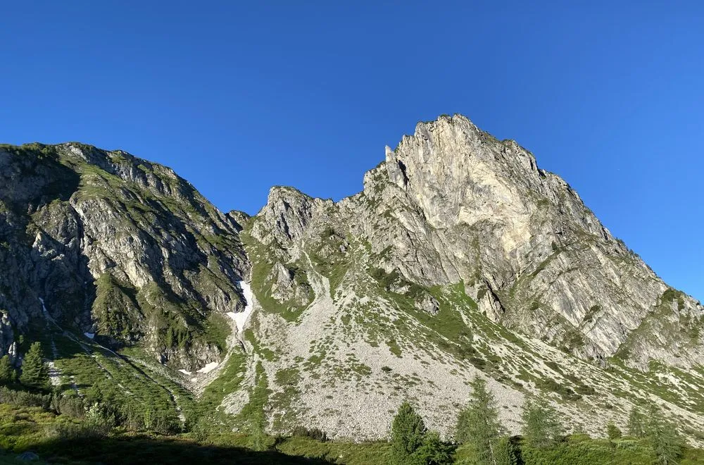 Nahaufnahme von blühenden Alpenblumen mit Berg im Hintergrund