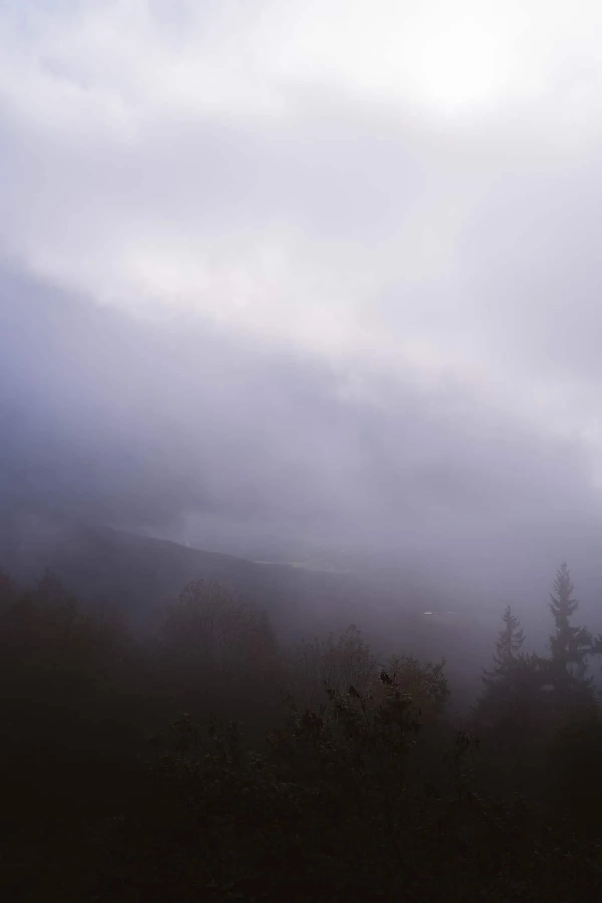 Nebliger Ausblick von der Kötztinger Hütte über den Bayerischen Wald