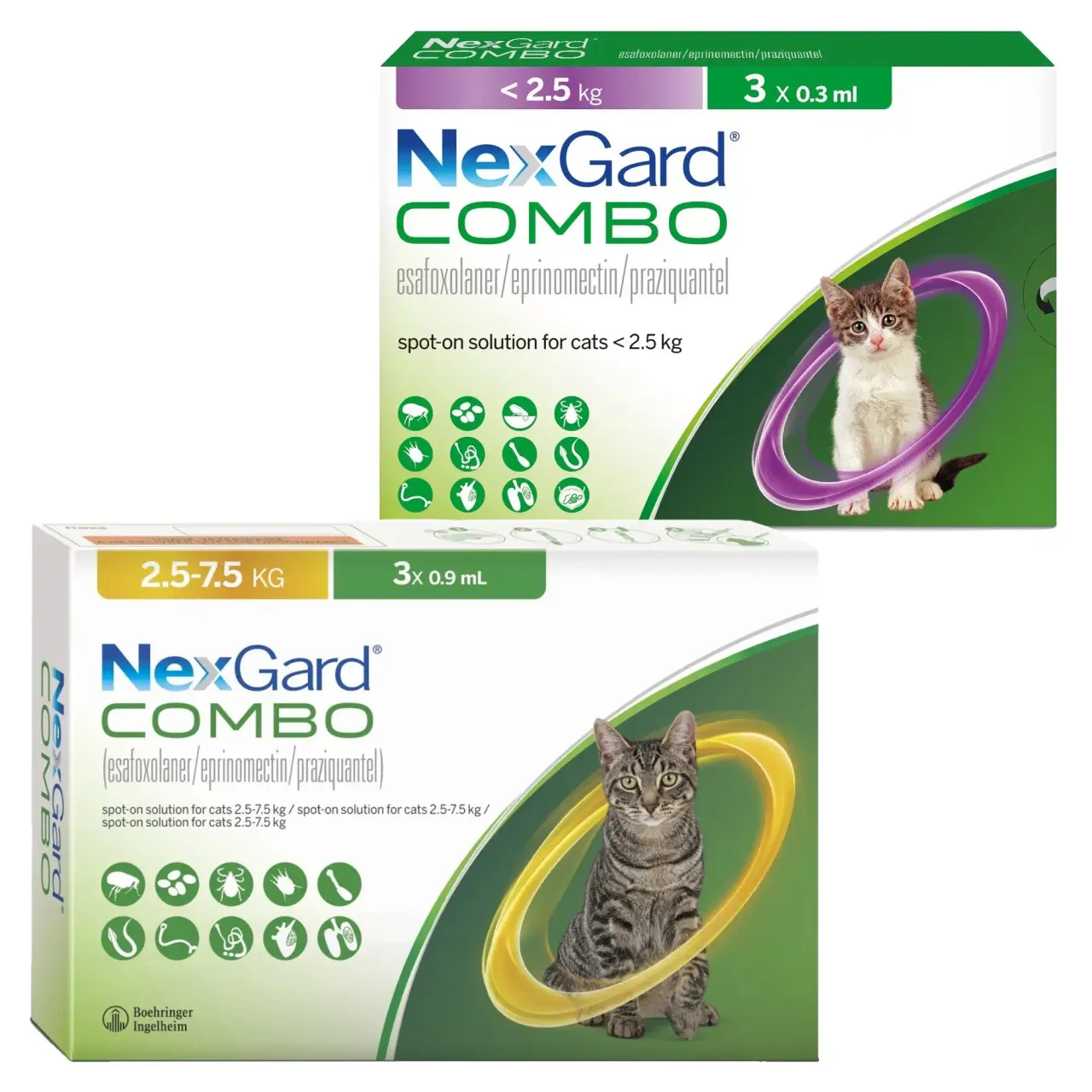 NexGard Combo Spot-On Lösung für Katzen mit lilafarbenen und gelben Packungen, effektiver Schutz gegen Flöhe, Zecken und Würmer