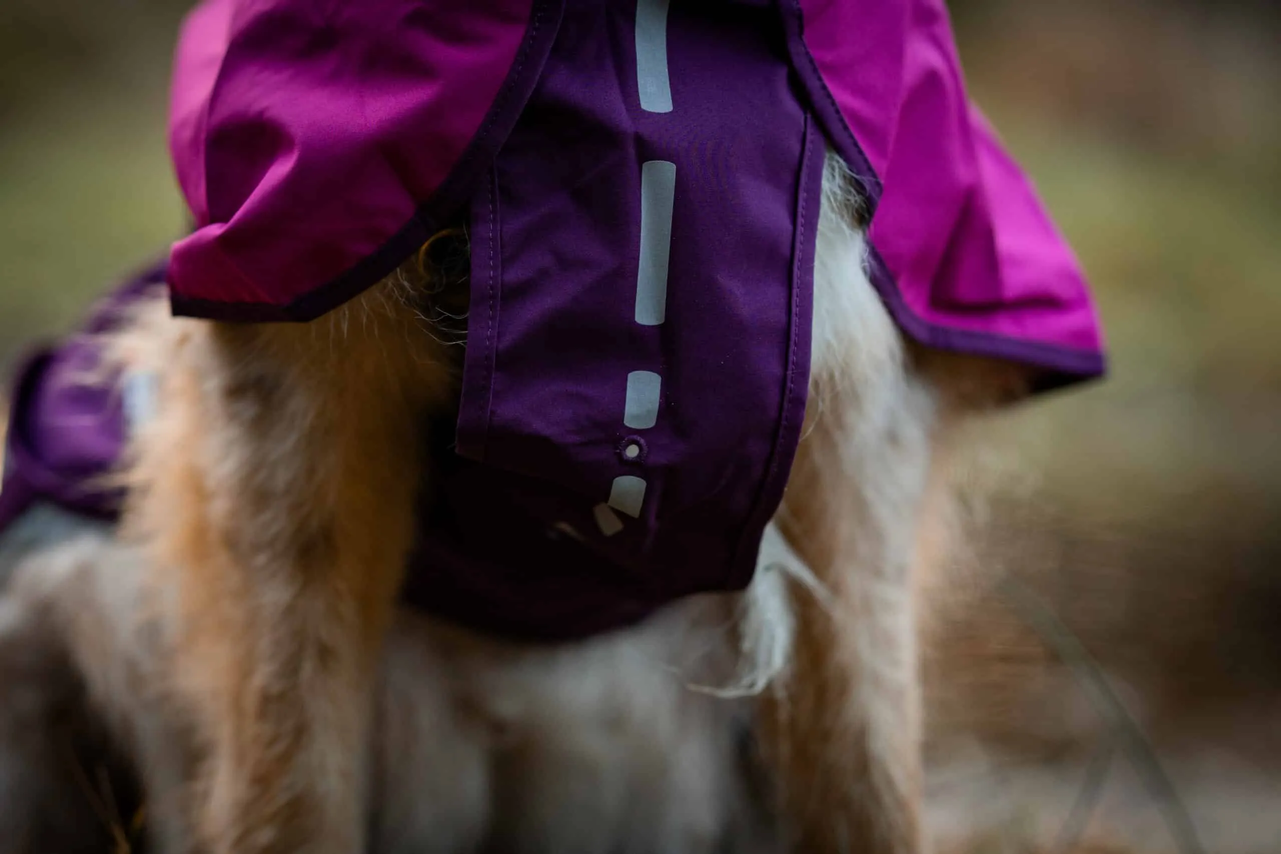 Non-stop dogwear Fjord Raincoat mit Leinenöffnung