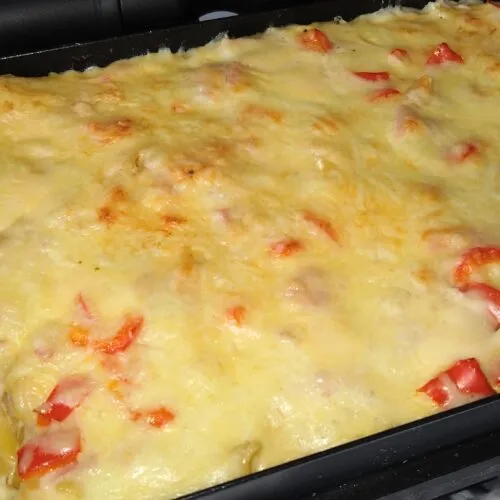 Nudel-Schinken-Gratin im OptiGrill zubereitet