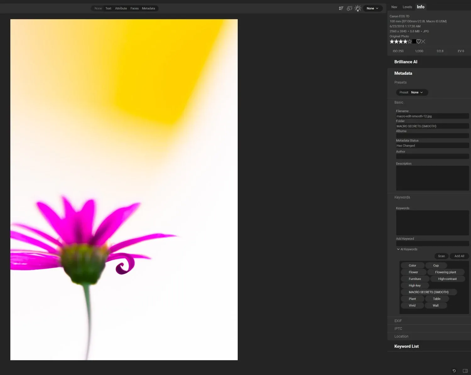 ON1 Photo RAW 2025 with the main preview showing a flower and metadata on the right-hand side