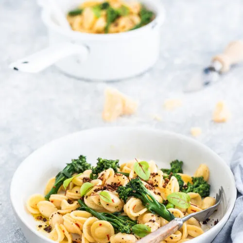 Orecchiette al Pangrattato, eine weniger bekannte, aber köstliche italienische Pasta-Hauptspeise.