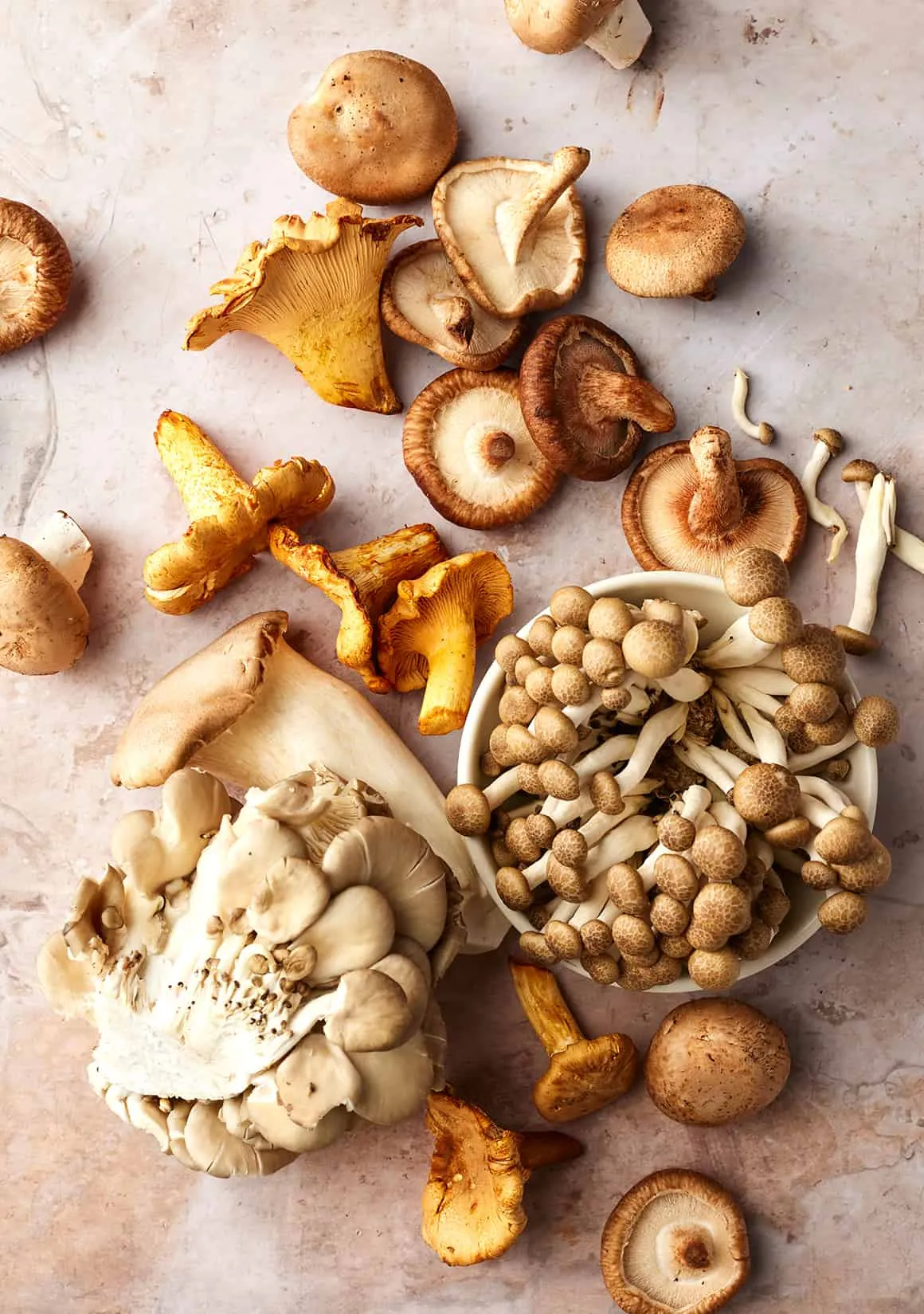 Overhead shot of mixed mushrooms on cement surface