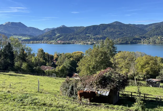 Panoramaaufnahme des Tegernsees vom Höhenweg aus