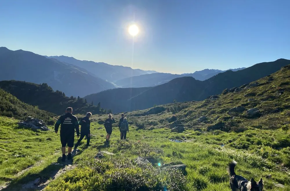 Panoramablick auf die Alpenkette