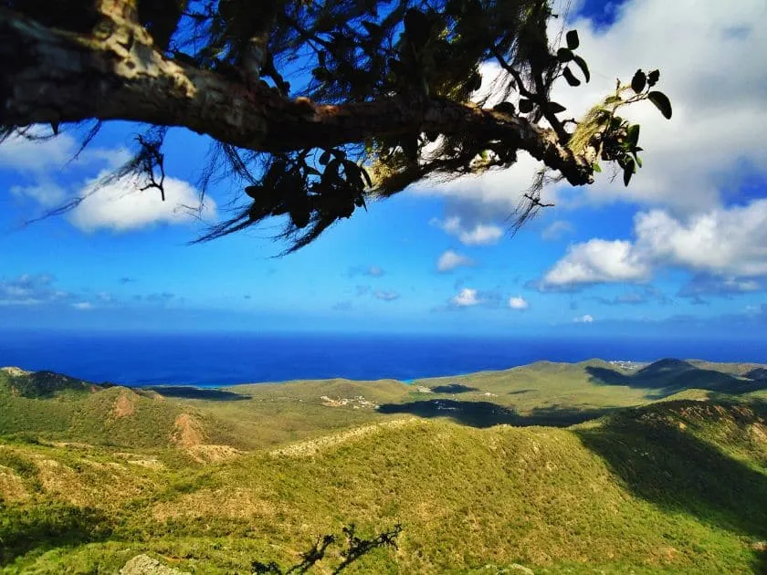 Panoramablick über die Landschaft des Christoffel Nationalparks auf Curaçao