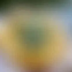 Pasta mit Pesto in der Salem Seebar