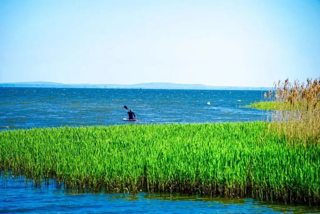Person auf einem SUP-Board beim Paddeln auf dem ruhigen Wasser des Stettiner Haffs.