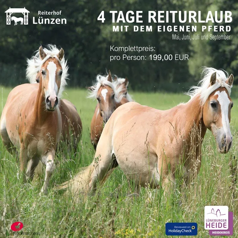 Pferd und Reiterin genießen 4 Tage Urlaub mit dem eigenen Pferd in Norddeutschland