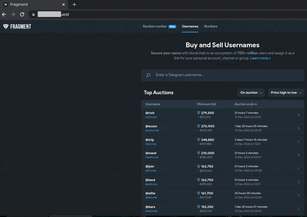Phishing-Seite, die die Telegram-Auktionsplattform Fragment imitiert und vorgibt, einzigartige Benutzernamen zu verkaufen, um Nutzer zur Eingabe ihrer Telegram- oder TON-Wallet-Anmeldedaten zu verleiten.