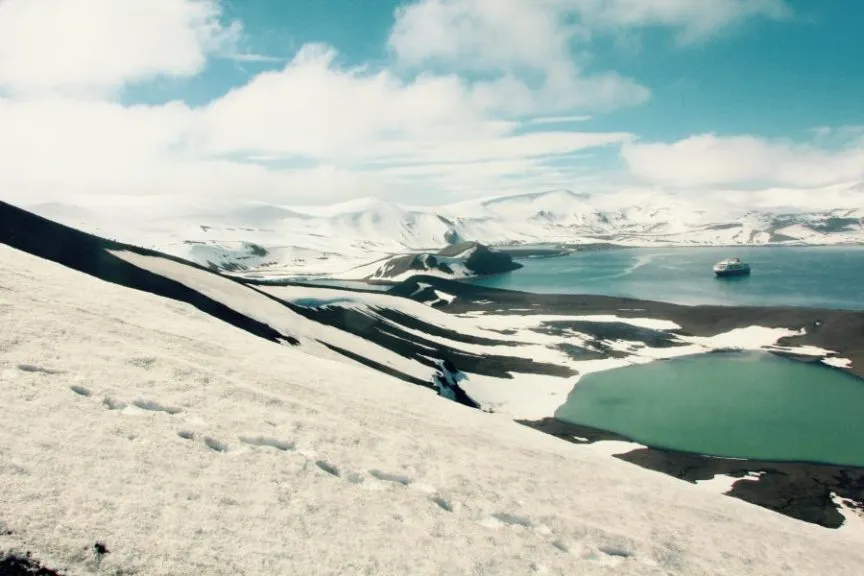 Pinguine am eisigen Strand der Antarktis