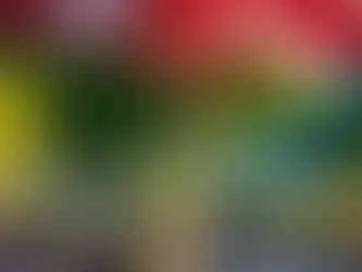 Pizza in der Salem Seebar mit Seeblick