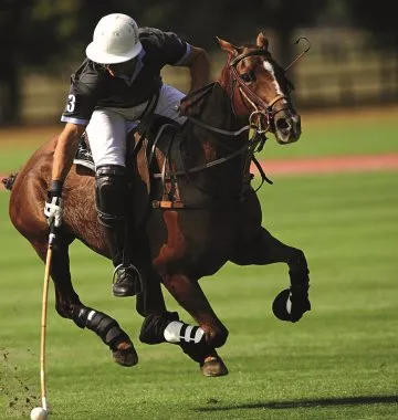 Polospieler auf einem Pferd schlägt mit seinem Mallet einen Ball, ein dynamisches Beispiel für eine englische Sportart mit Schläger