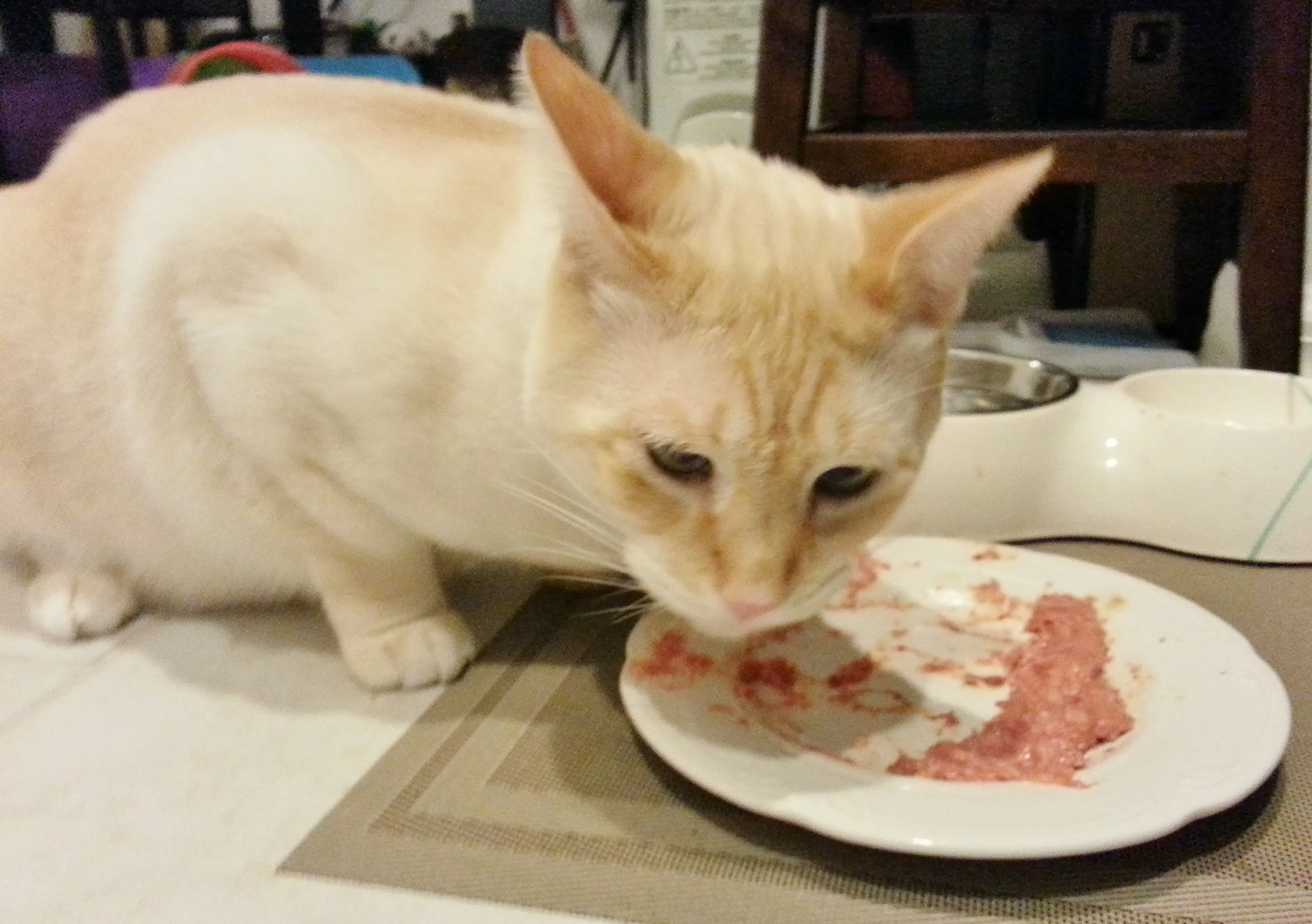 Portionierte gesunde Mahlzeiten in Aufbewahrungsbehältern